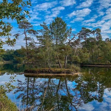 Bospareltjes Luxe Chalets Alleen Voor Recreatie Oisterwijk Extérieur photo